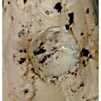Turtle Brownie
